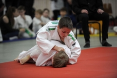 13.Heidecksburgpokal 2018 Rudolstadt018