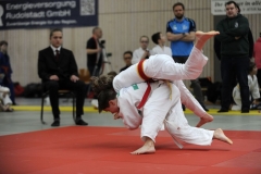 13.Heidecksburgpokal 2018 Rudolstadt019