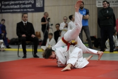 13.Heidecksburgpokal 2018 Rudolstadt020