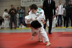 13.Heidecksburgpokal 2018 Rudolstadt034