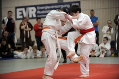 13.Heidecksburgpokal 2018 Rudolstadt043