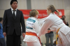 13.Heidecksburgpokal 2018 Rudolstadt045