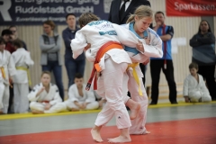 13.Heidecksburgpokal 2018 Rudolstadt048
