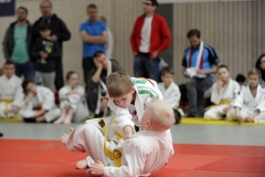 13.Heidecksburgpokal 2018 Rudolstadt049