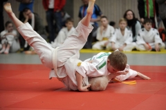 13.Heidecksburgpokal 2018 Rudolstadt050