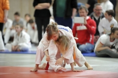 13.Heidecksburgpokal 2018 Rudolstadt055