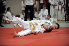13.Heidecksburgpokal 2018 Rudolstadt057