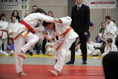 13.Heidecksburgpokal 2018 Rudolstadt071