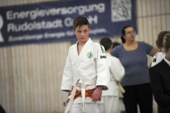 13.Heidecksburgpokal 2018 Rudolstadt097