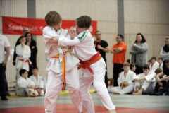 13.Heidecksburgpokal 2018 Rudolstadt104