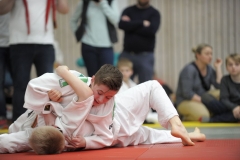 13.Heidecksburgpokal 2018 Rudolstadt127