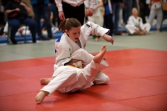 HBP-Rudolstadt-2023034