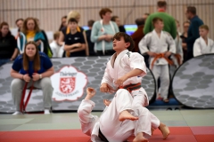 18-HBP-2025-Kaempfe-U13l069
