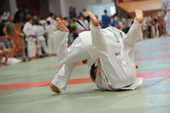 AT-Turnier U15 3.9.2016 Leipzig058