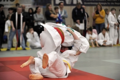 HBP-8.2.2020-Rudolstadt-107