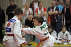 Heidecksburgpokal 9.2.2019 Rudolstadt Aktionen001