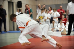 Heidecksburgpokal 9.2.2019 Rudolstadt Aktionen004