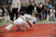 Heidecksburgpokal 9.2.2019 Rudolstadt Aktionen005