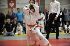 Heidecksburgpokal 9.2.2019 Rudolstadt Aktionen014
