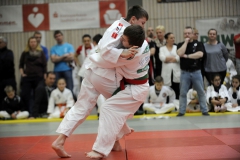 Heidecksburgpokal 9.2.2019 Rudolstadt Aktionen020