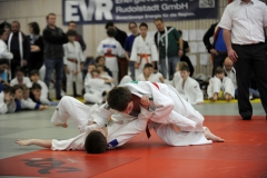 Heidecksburgpokal 9.2.2019 Rudolstadt Aktionen038