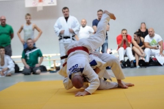 LVMM 27.8.2016 Harpersdorf 028