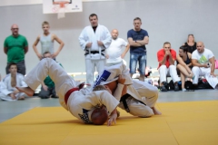 LVMM 27.8.2016 Harpersdorf 029