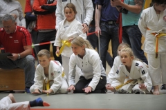 LVMM U11 2017 Meuselwitz056