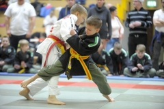 LVMM U11 2017 Meuselwitz059