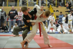 LVMM U11 2017 Meuselwitz067