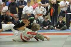 LVMM U11 2017 Meuselwitz085