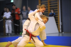 MDEM U18 Schönebeck Februar 2017 010