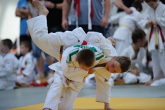 Ostthüringenpokal 28.8.2016 Harpersdorf_13